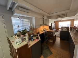 GOLDEN-before-010